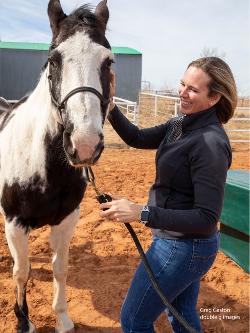 Welcome to White Equine Veterinary Services