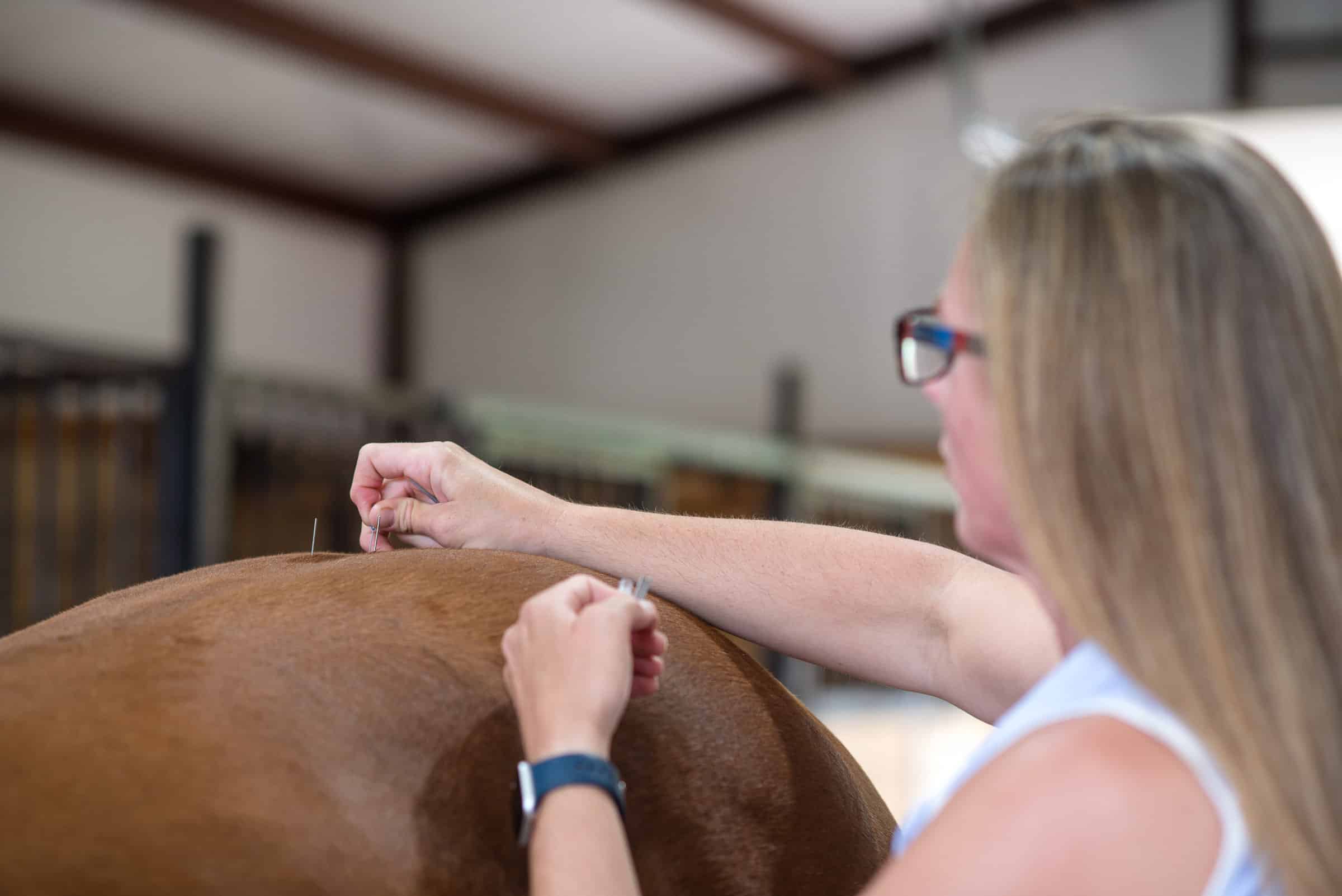 Chiropractic and Acupuncture therapy