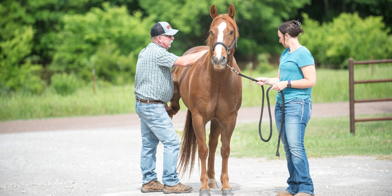 Comprehensive Lameness Evaluation